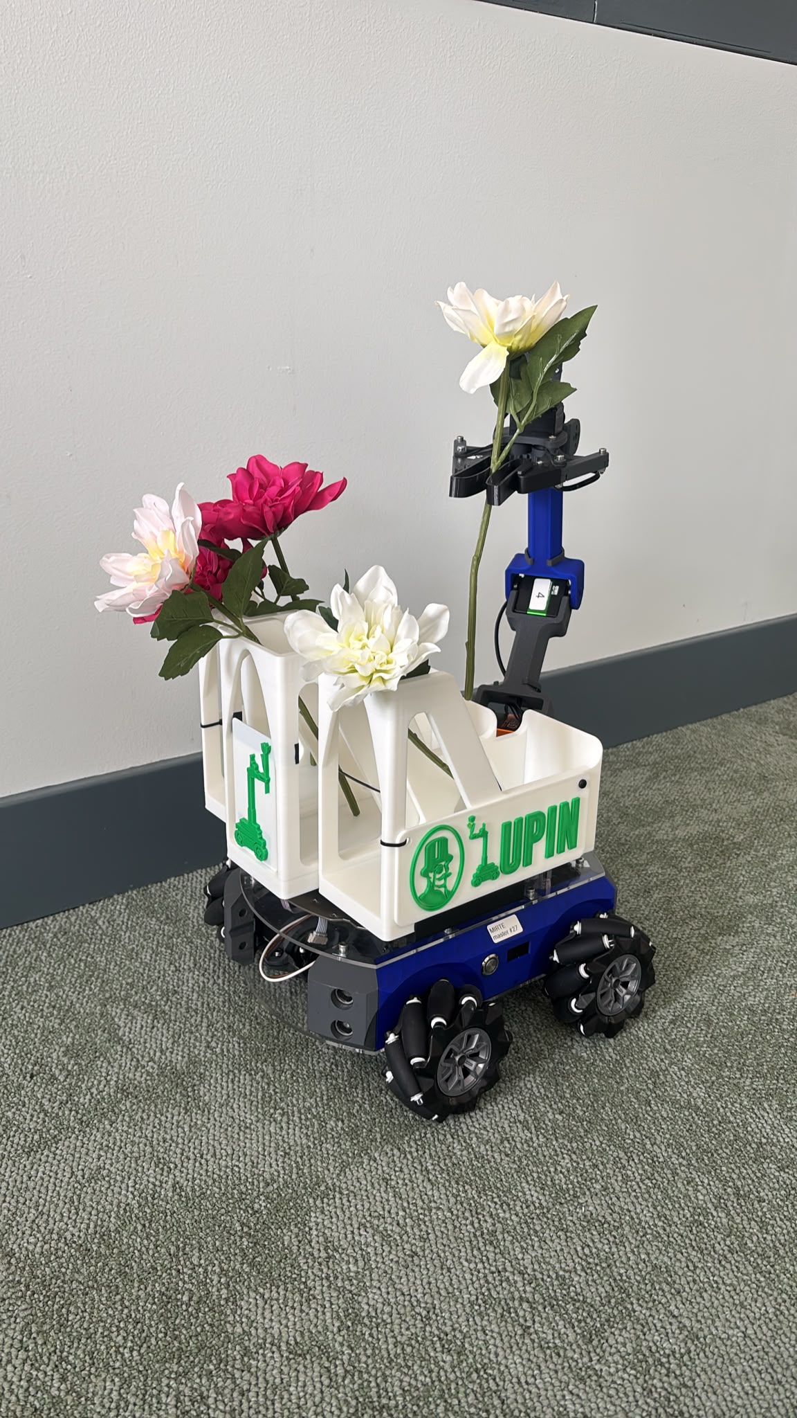 Lupin robot, rear view: the mecanum drive base and the flower payload riding in the crate